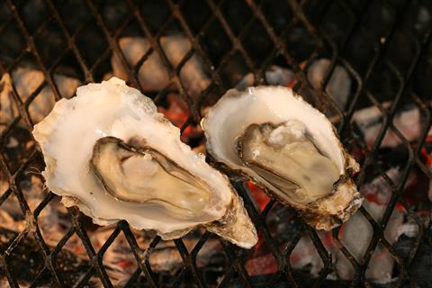 3日目夕食：厚岸産のカキなどの炙り焼き（一例）